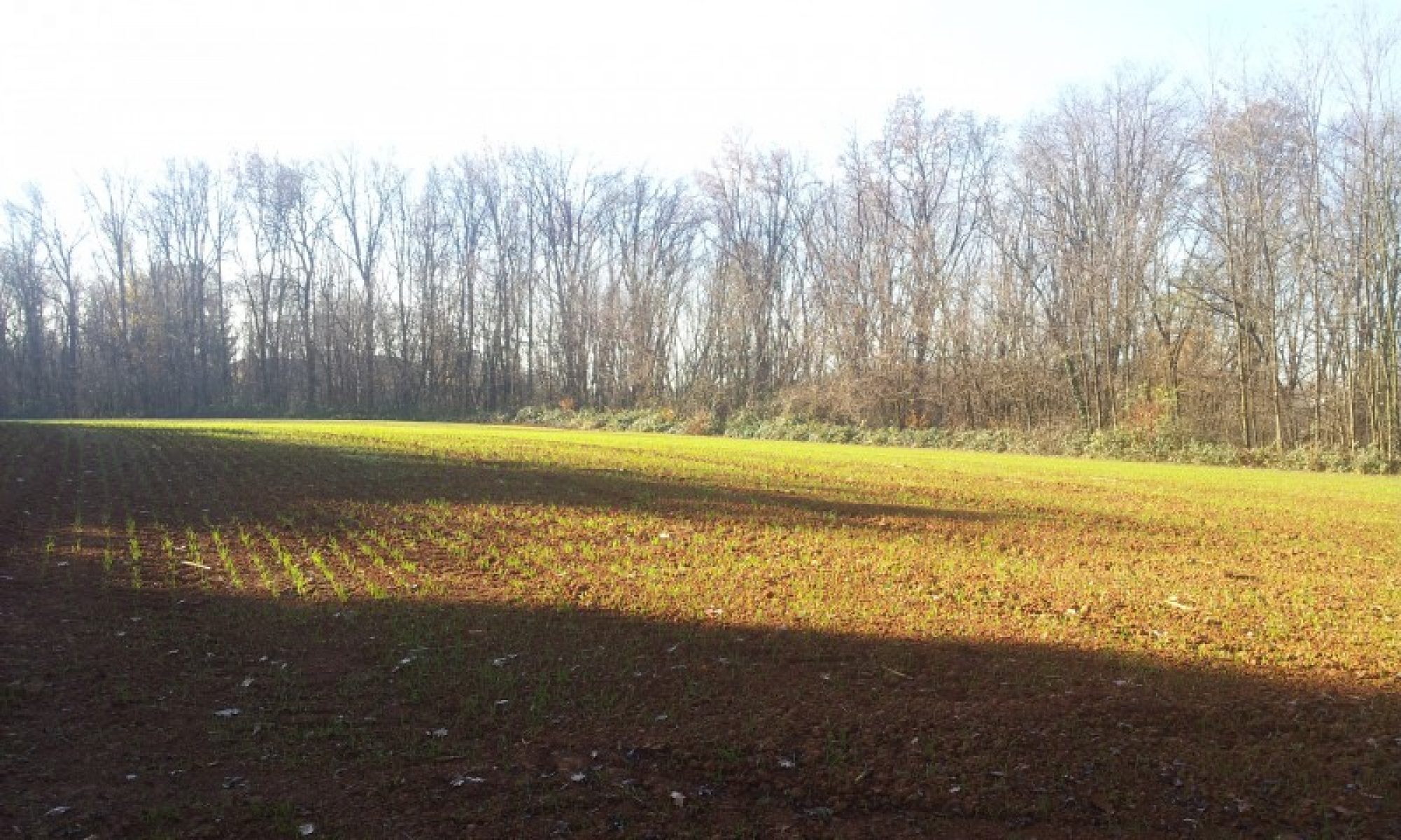 Associazione Vivere Correzzana