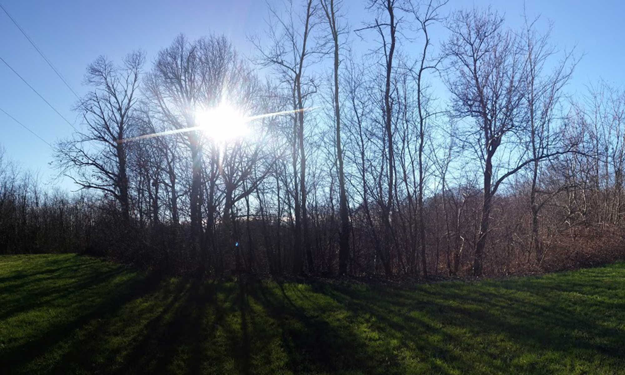 Associazione Vivere Correzzana